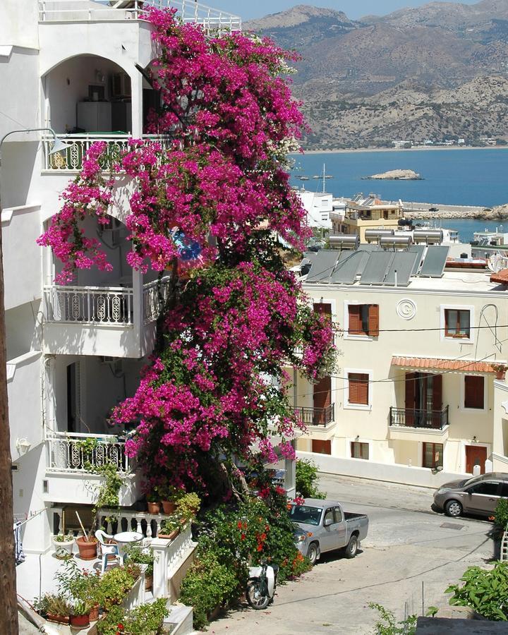 Roses Studios Karpathos Extérieur photo